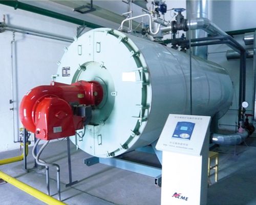 WNS系列燃油燃氣鍋爐