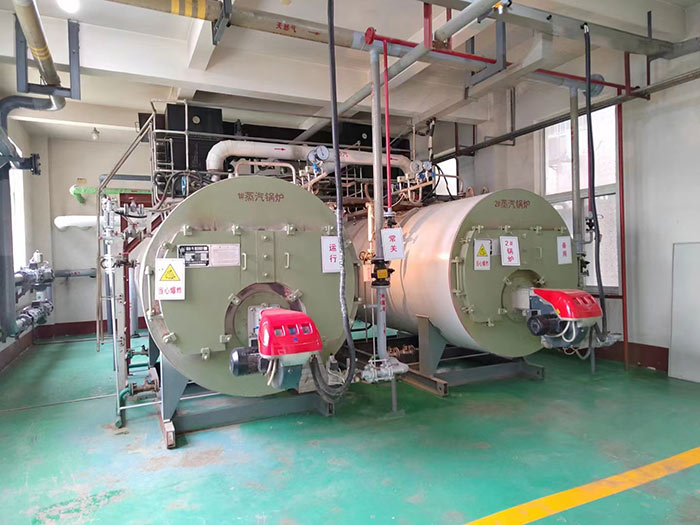 帶節(jié)能器燃氣鍋爐